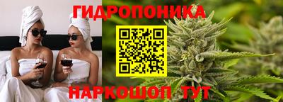гашик Пушкино