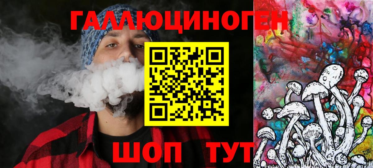 Псилоцибиновые грибы Cubensis  Вход с VPN  Саяногорск 
