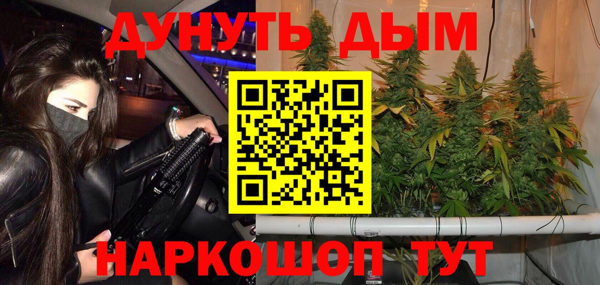 Бошки Шишки гибрид Саяногорск